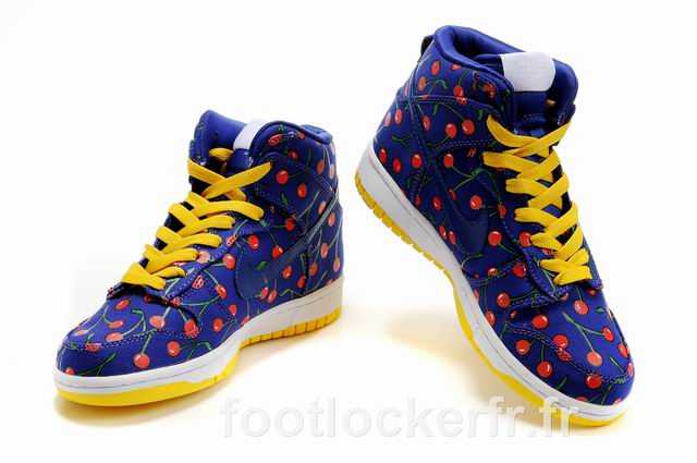 dunk sb mode nouveaustyle nike sb dunk pro acheter